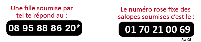 soumise par telephone